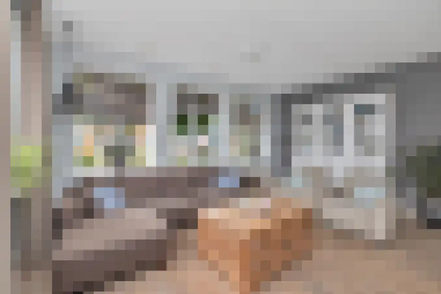 Irissenstraat 31 Breezand thumbnail 12