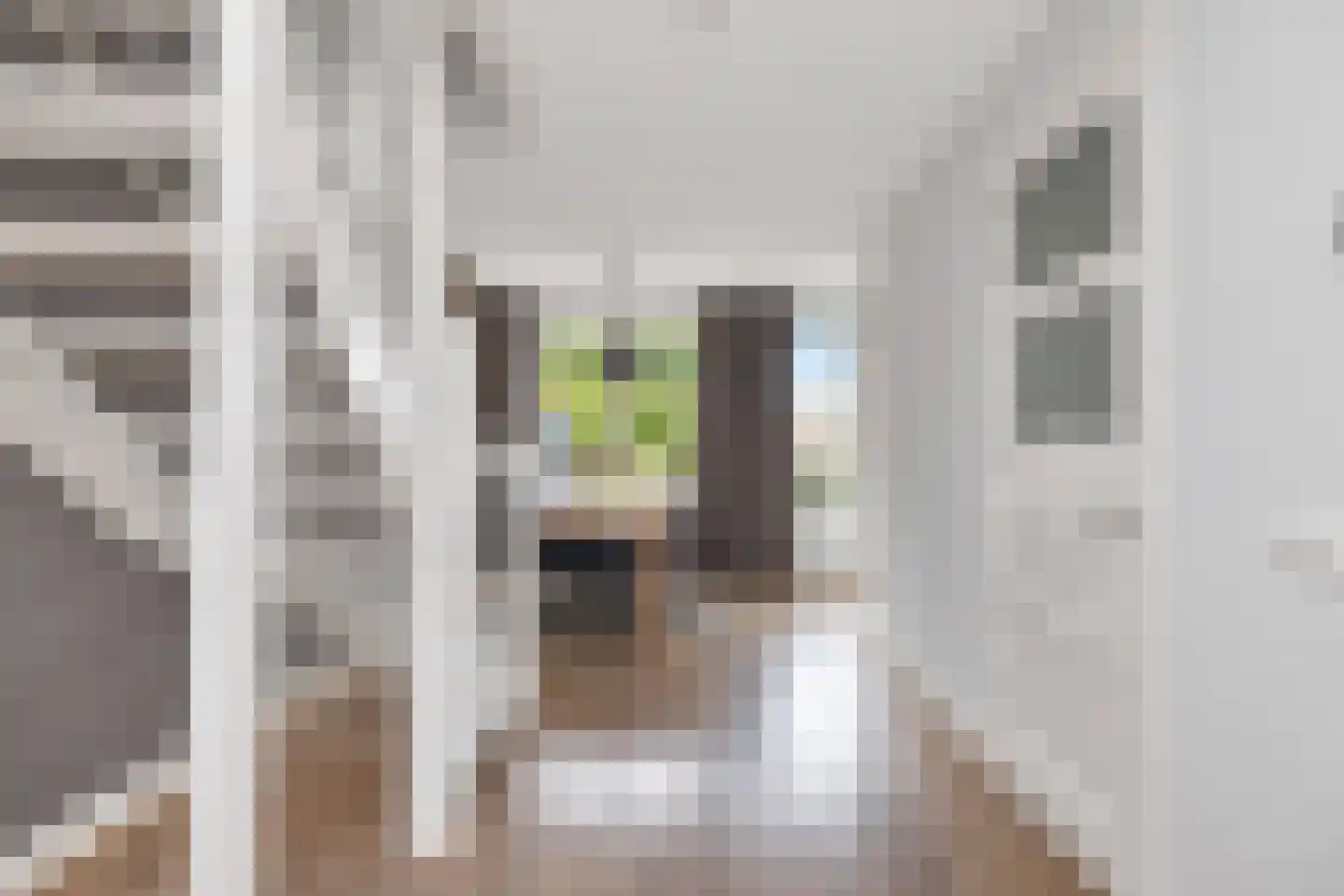 Irissenstraat 31 Breezand thumbnail 16