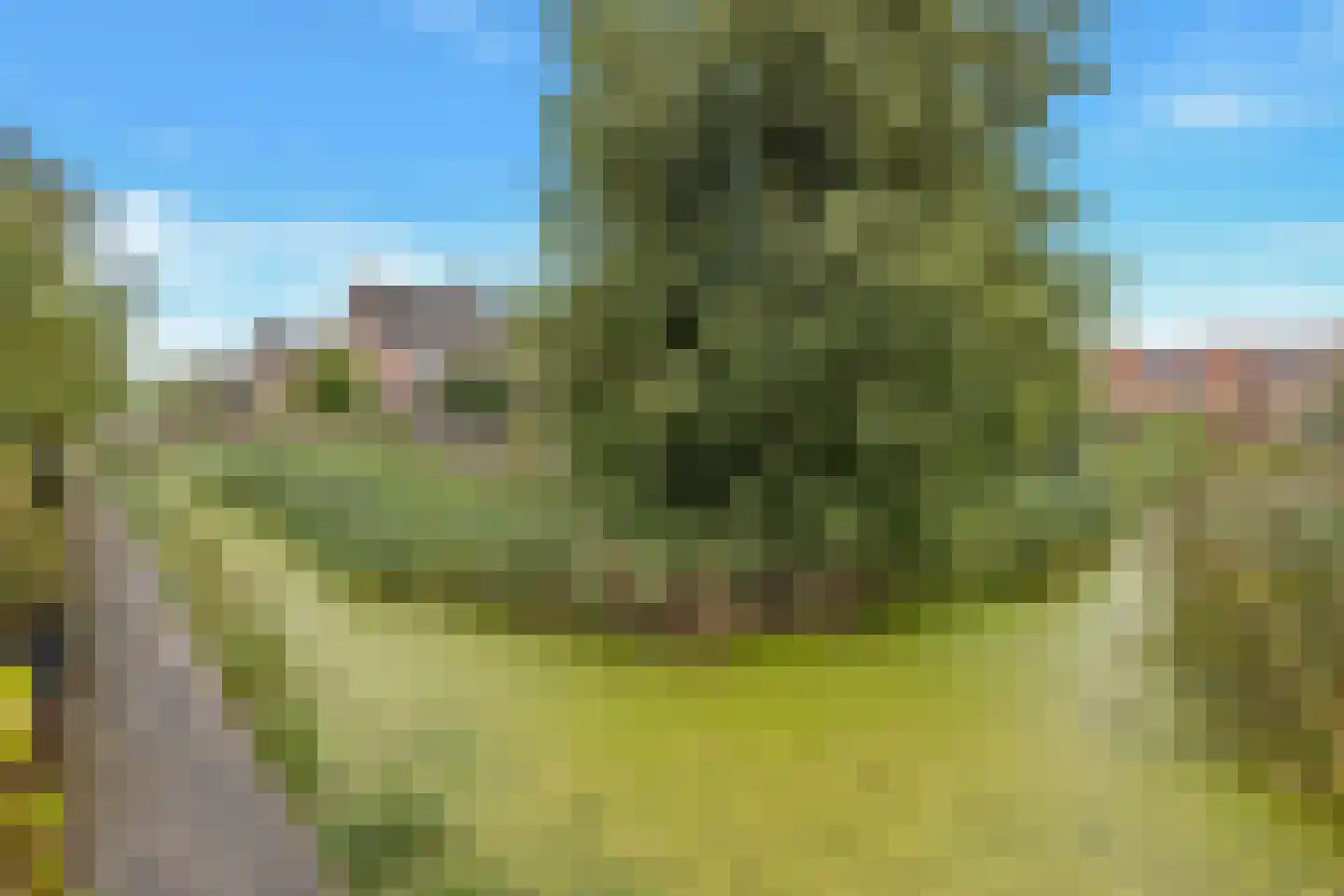 Irissenstraat 31 Breezand thumbnail 41
