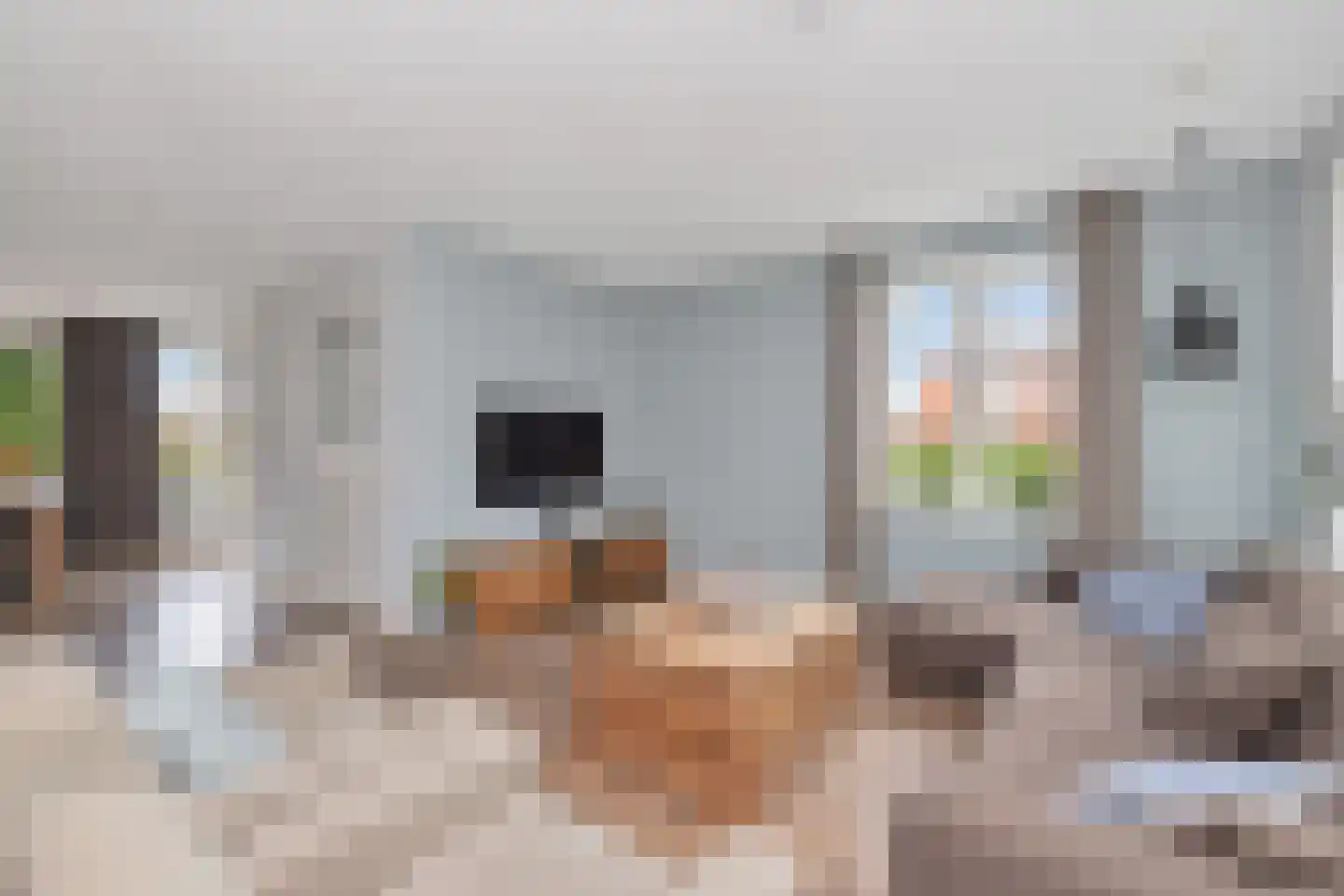 Irissenstraat 31 Breezand thumbnail 6