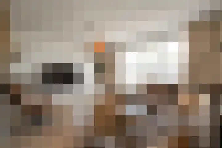 Irissenstraat 40 Breezand thumbnail 10