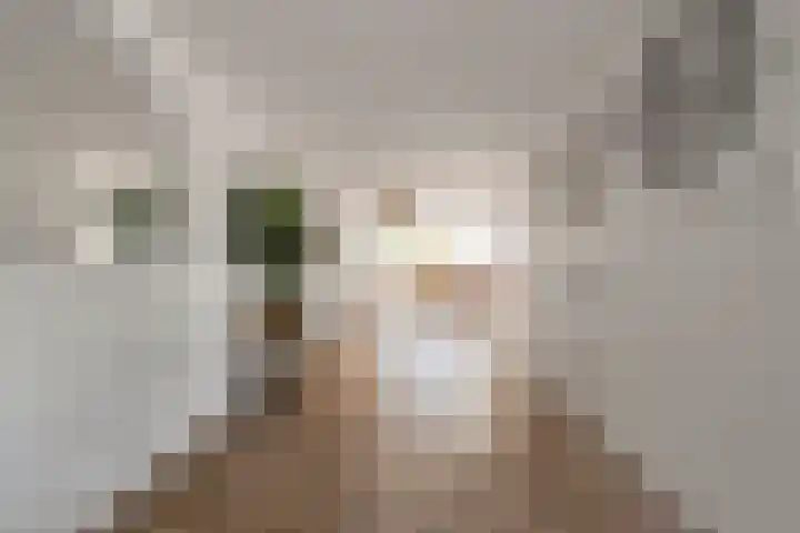 Irissenstraat 40 Breezand thumbnail 11