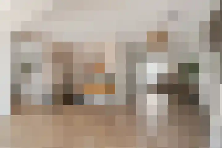Irissenstraat 40 Breezand thumbnail 12