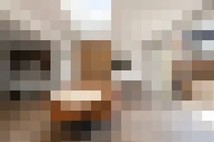 Irissenstraat 40 Breezand thumbnail 19