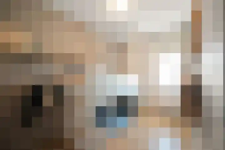 Irissenstraat 40 Breezand thumbnail 23