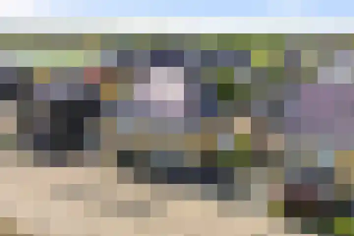 Irissenstraat 40 Breezand thumbnail 4