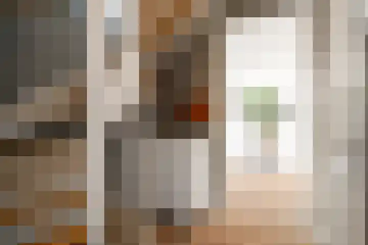 Irissenstraat 40 Breezand thumbnail 6