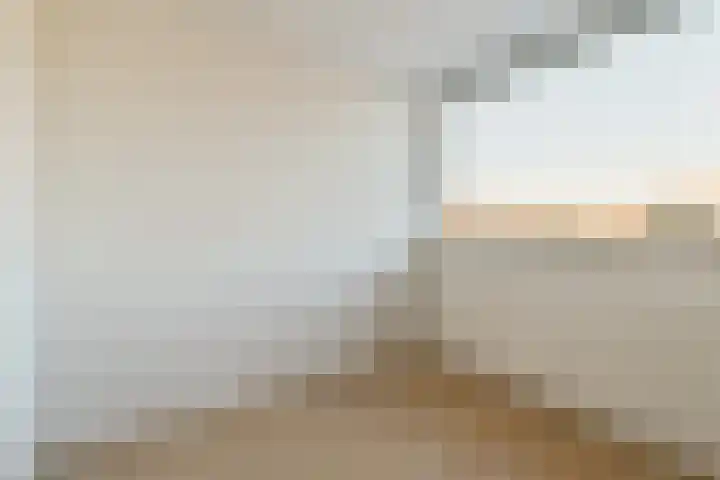 Irissenstraat 8 Sassenheim thumbnail 21