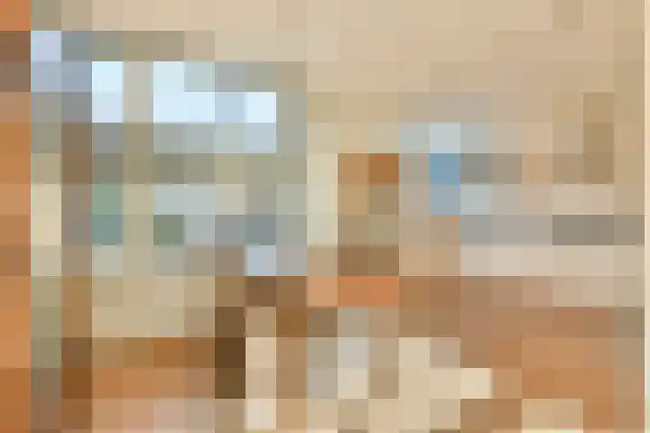 Irissenstraat 8 Sassenheim thumbnail 5