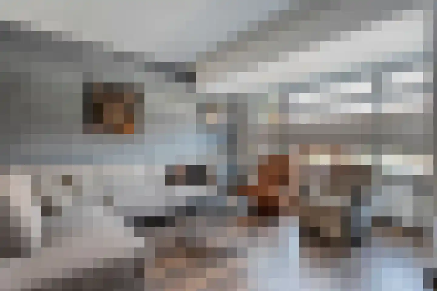Irisstraat 1 Hengelo thumbnail 11