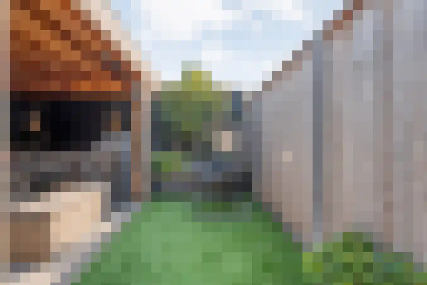 Irisstraat 1 Hengelo thumbnail 35