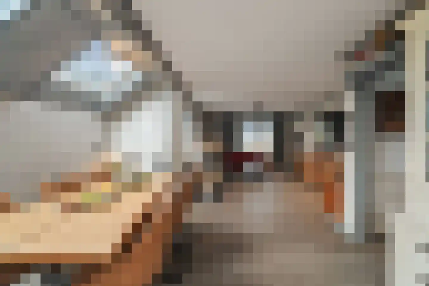 Irisstraat 1 Hippolytushoef thumbnail 10