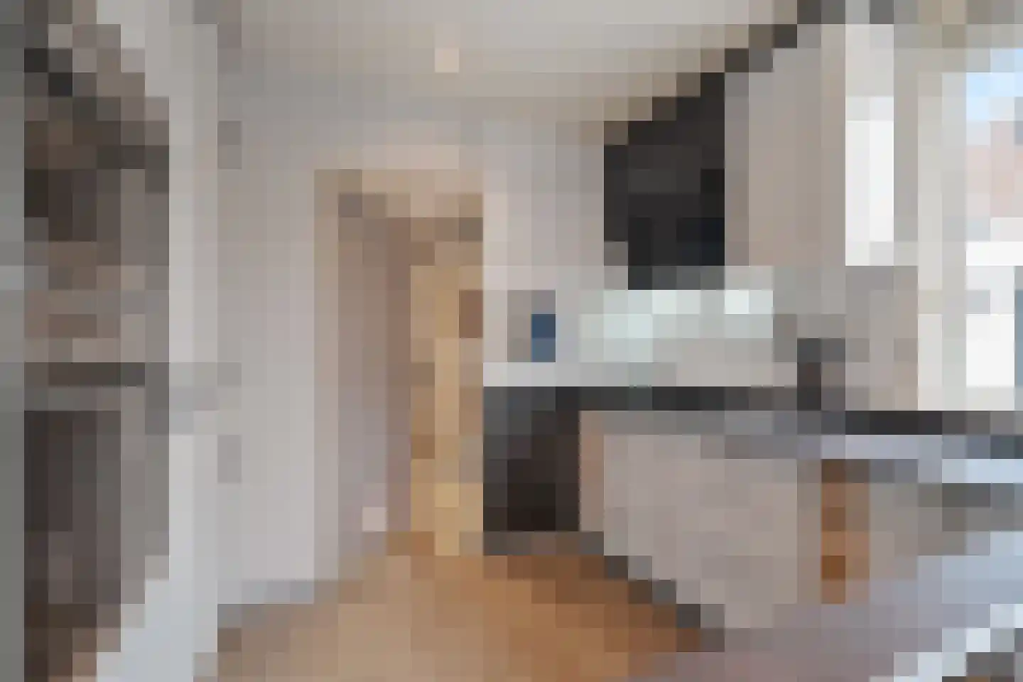 Irisstraat 1 Hippolytushoef thumbnail 11