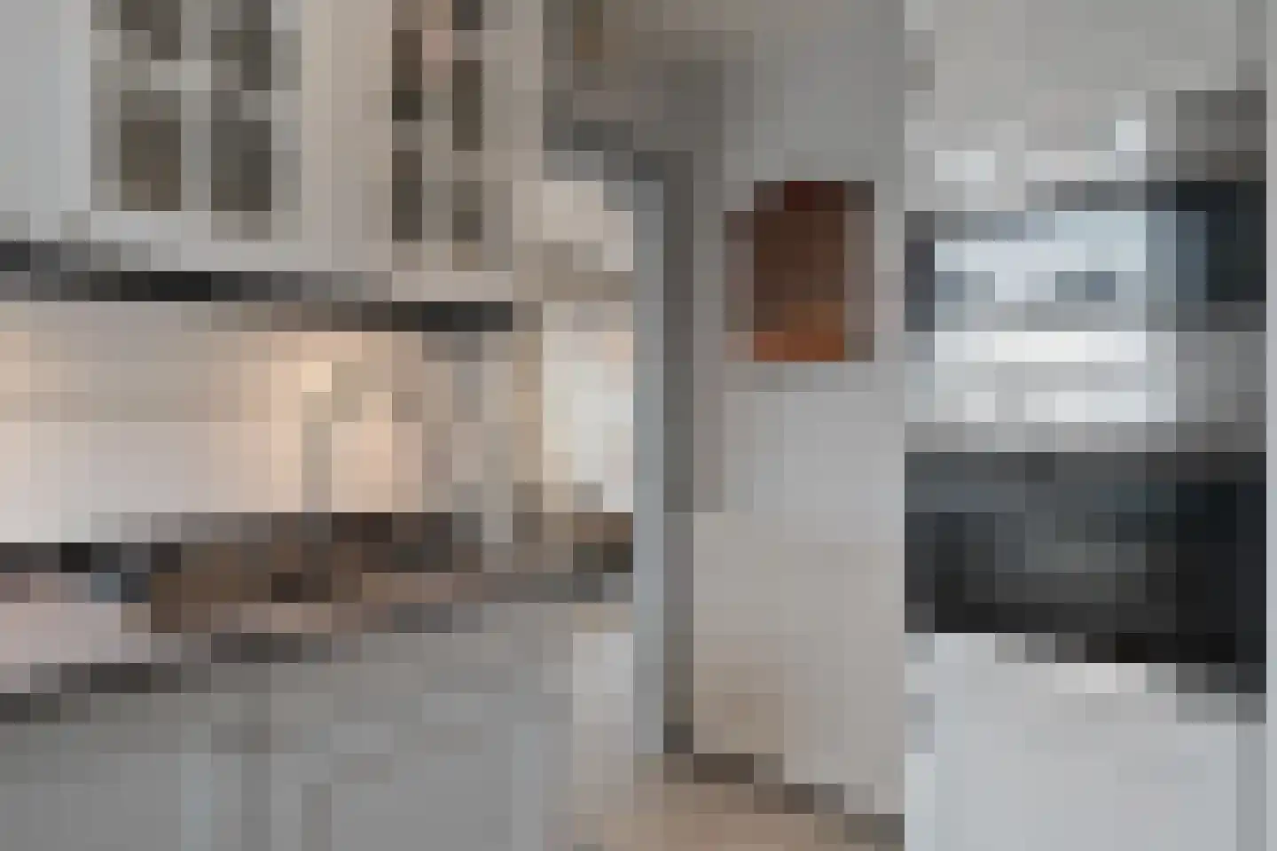 Irisstraat 1 Hippolytushoef thumbnail 12