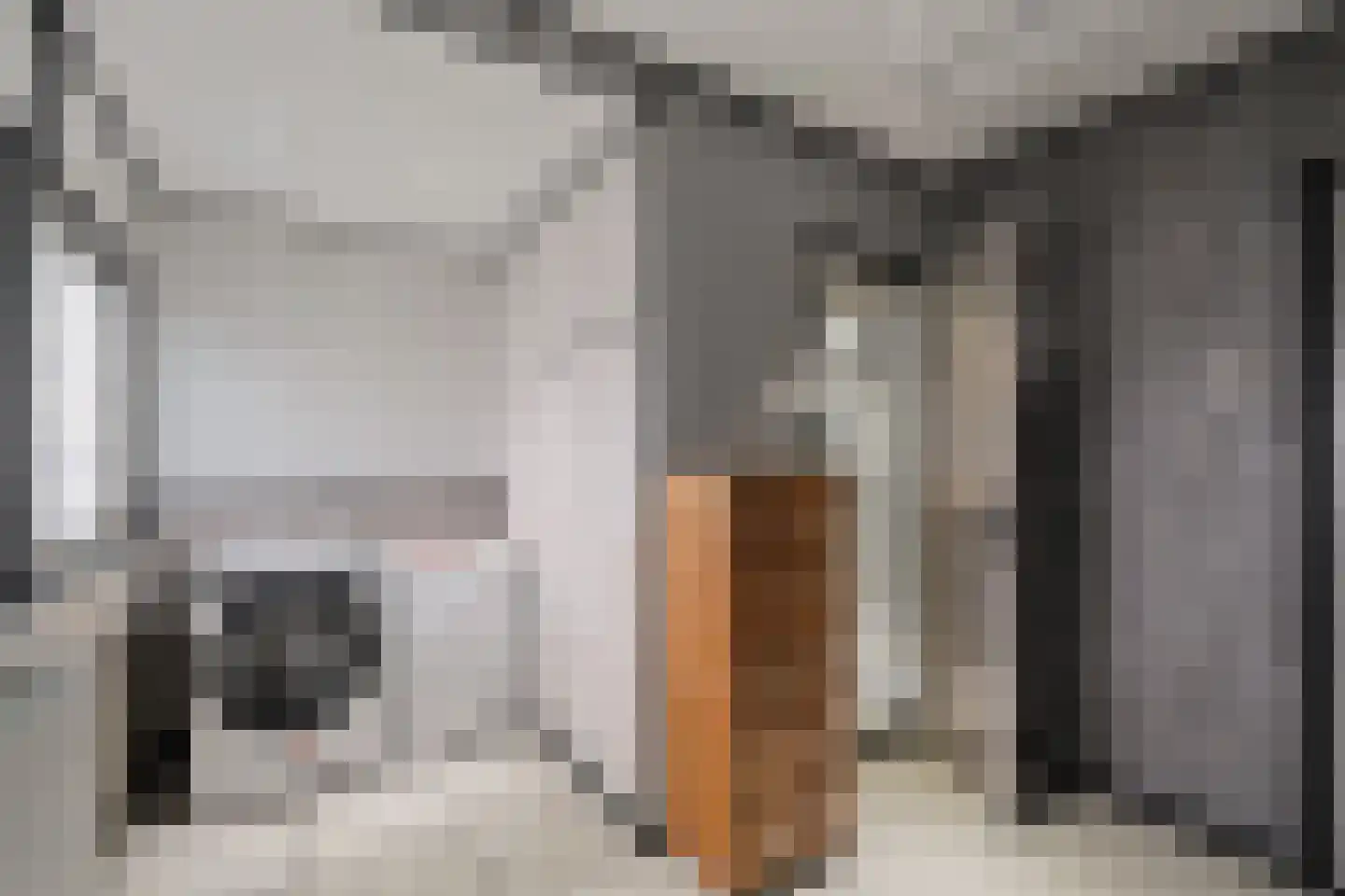 Irisstraat 1 Hippolytushoef thumbnail 15
