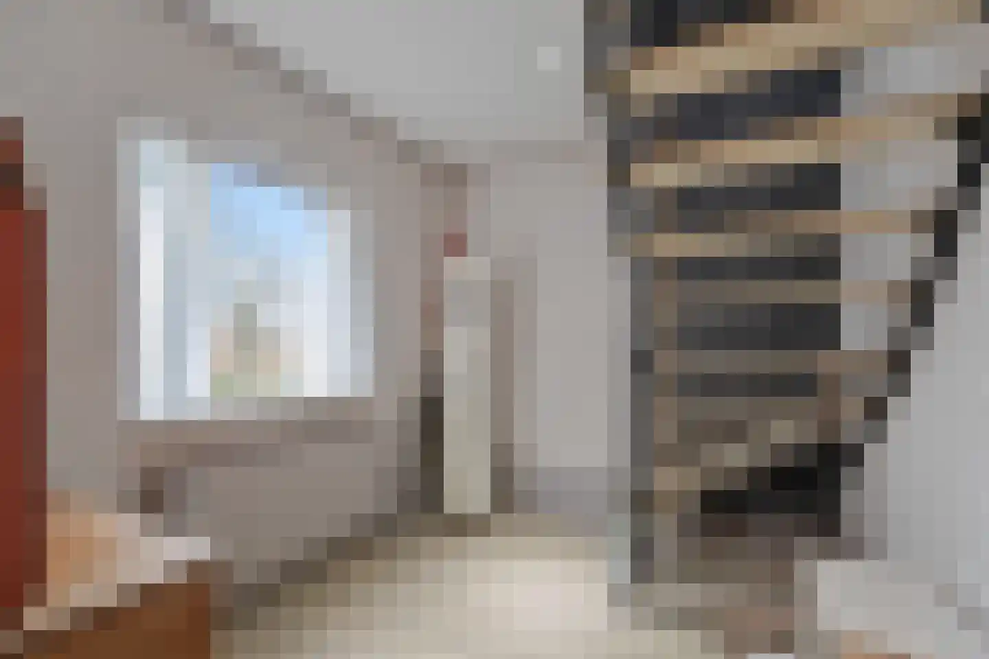 Irisstraat 1 Hippolytushoef thumbnail 17