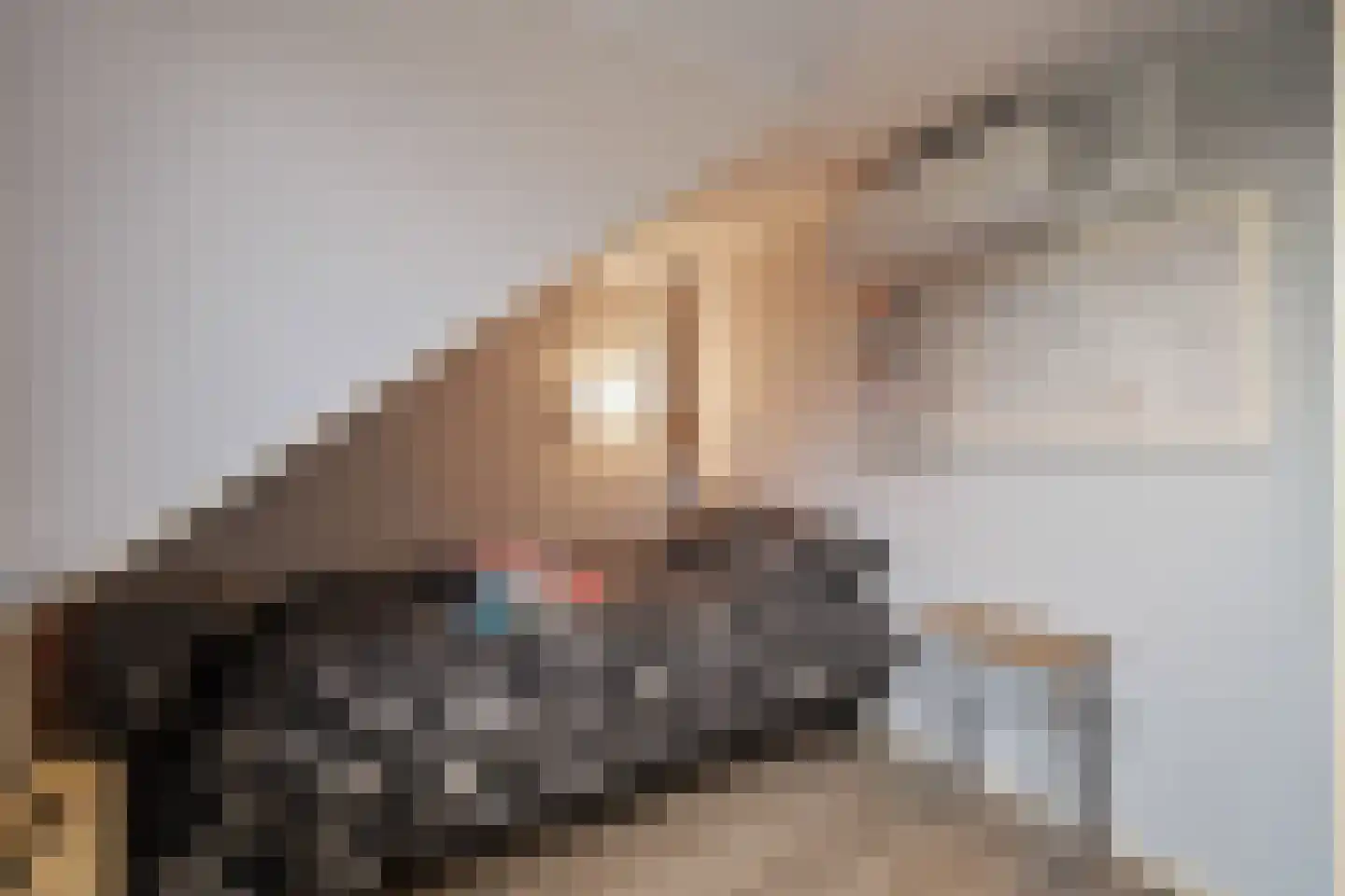 Irisstraat 1 Hippolytushoef thumbnail 18