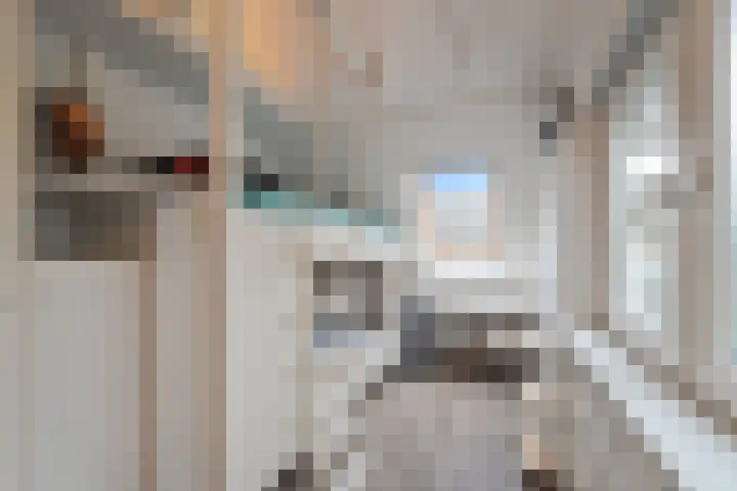 Irisstraat 1 Hippolytushoef thumbnail 20