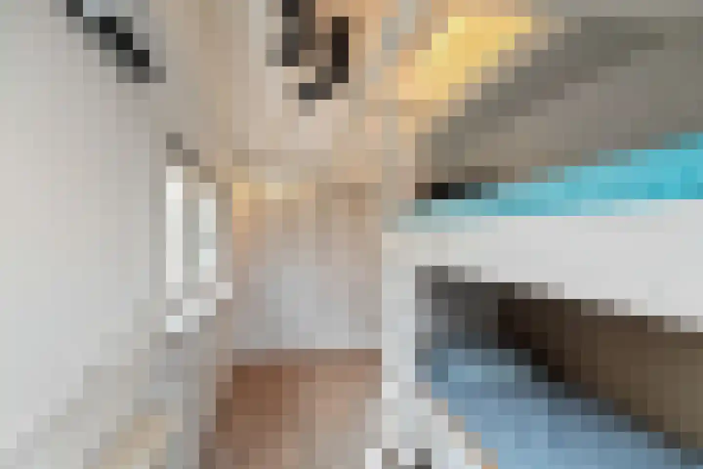 Irisstraat 1 Hippolytushoef thumbnail 21