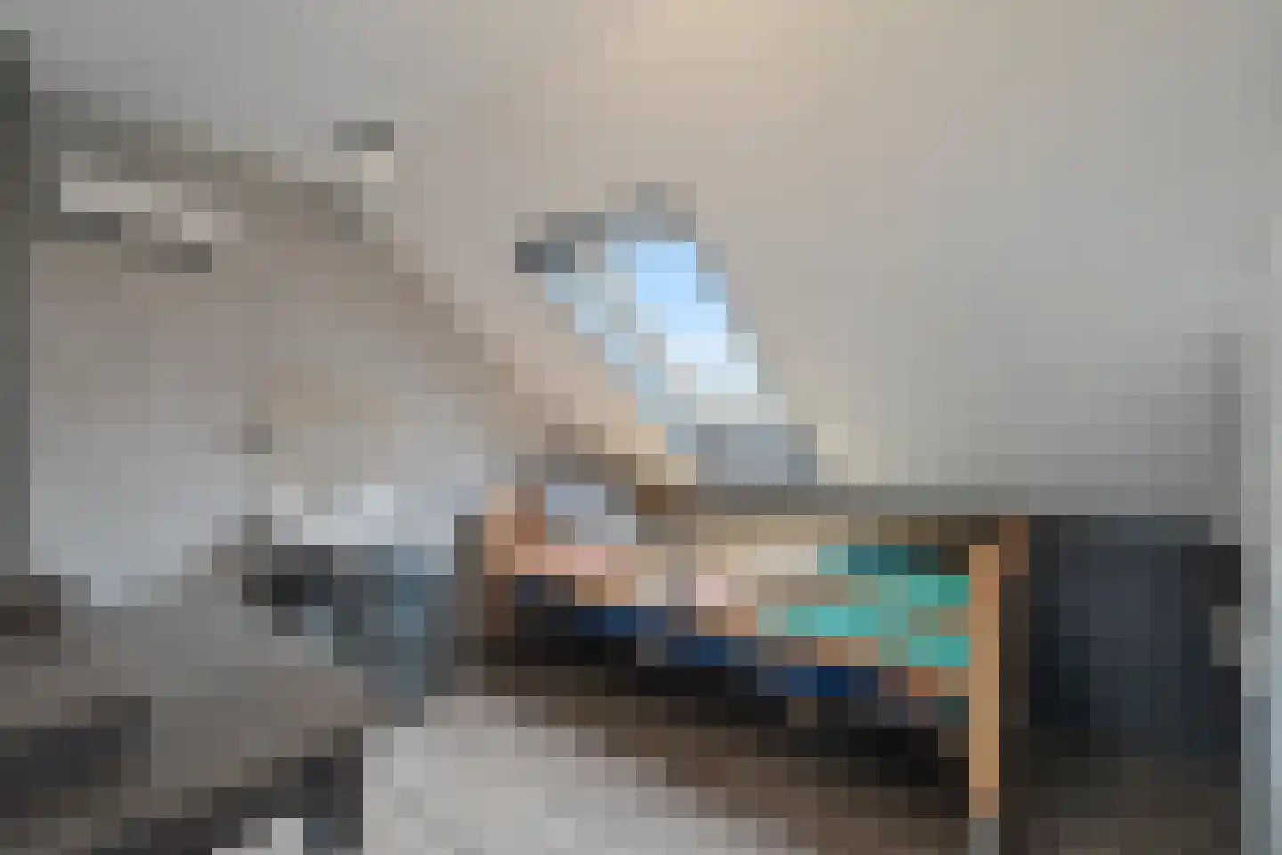Irisstraat 1 Hippolytushoef thumbnail 22