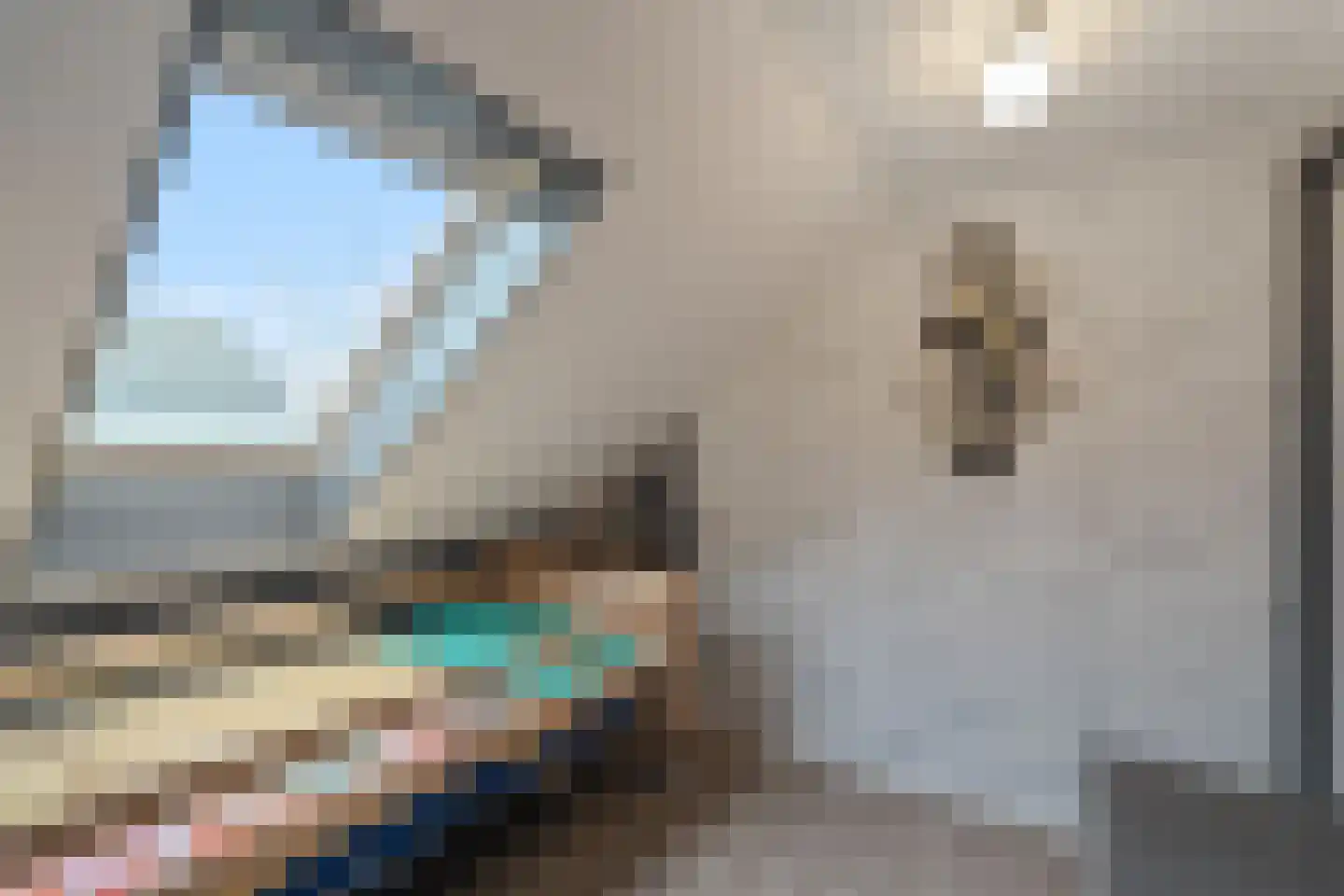 Irisstraat 1 Hippolytushoef thumbnail 23