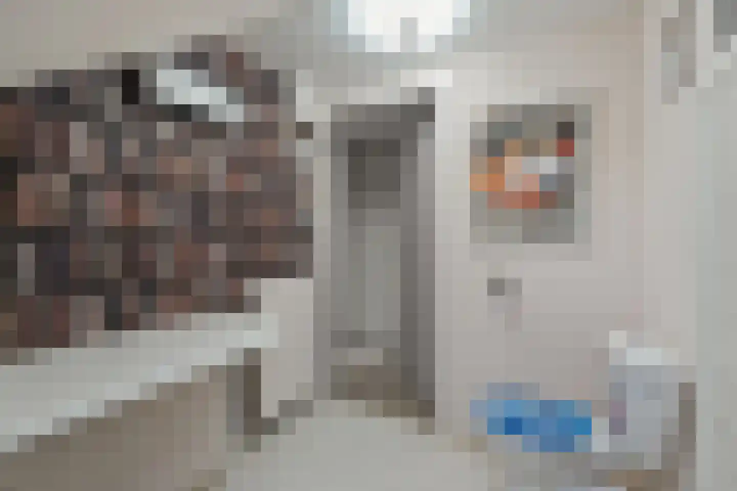 Irisstraat 1 Hippolytushoef thumbnail 25