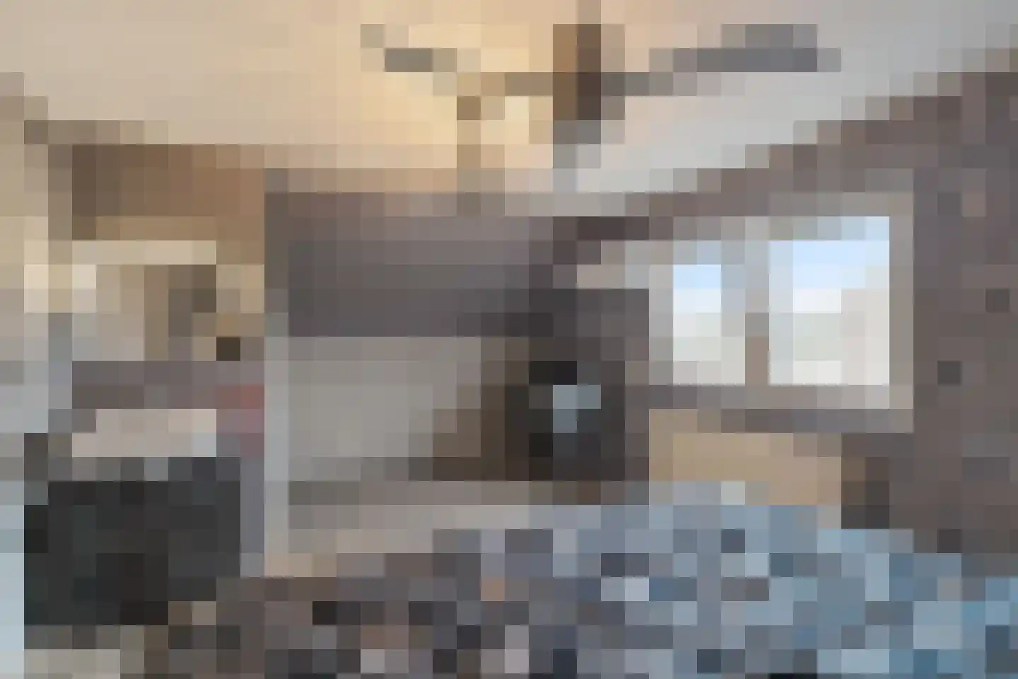 Irisstraat 1 Hippolytushoef thumbnail 27