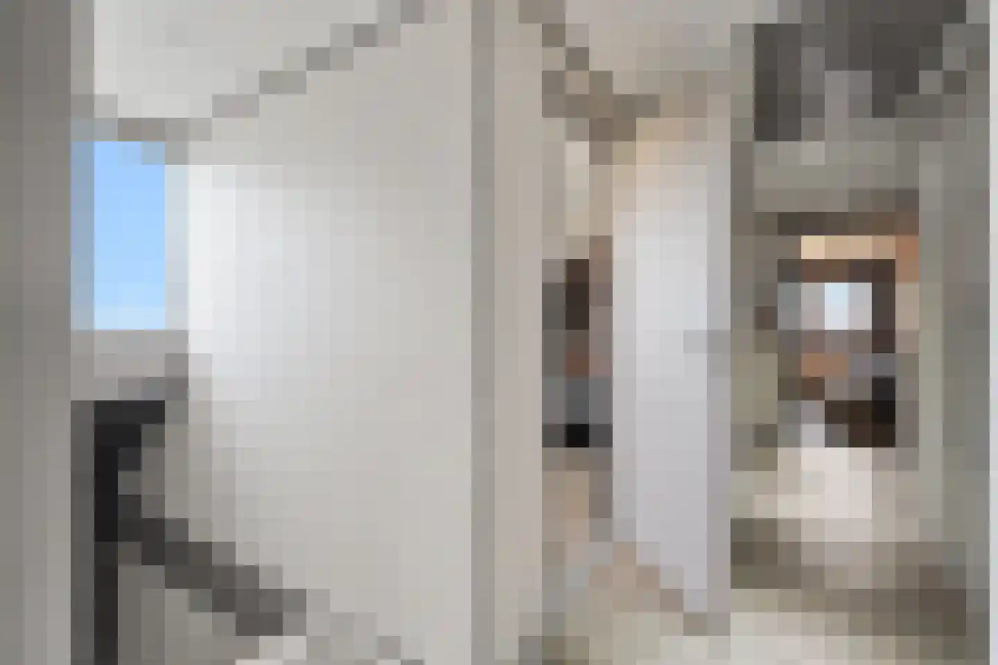 Irisstraat 1 Hippolytushoef thumbnail 28