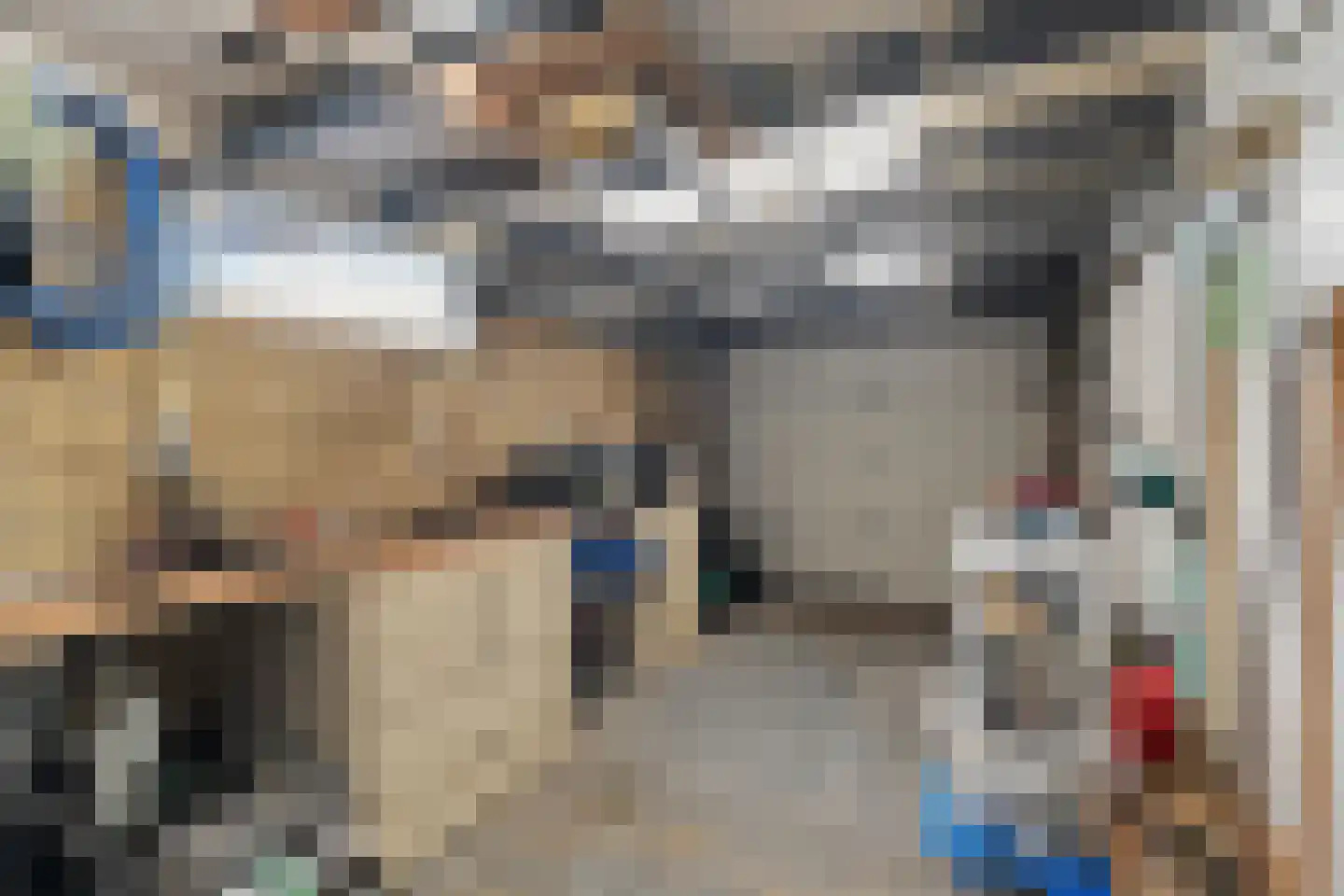 Irisstraat 1 Hippolytushoef thumbnail 29