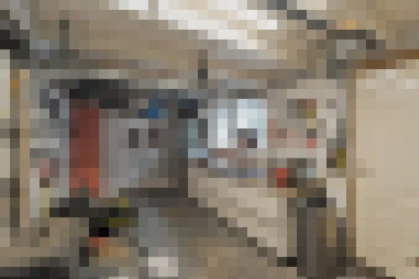 Irisstraat 1 Hippolytushoef thumbnail 31