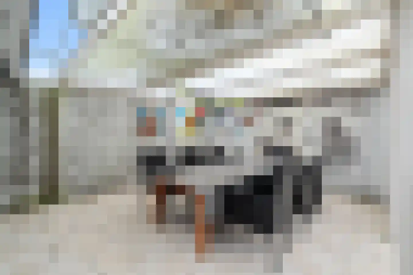 Irisstraat 1 Hippolytushoef thumbnail 33