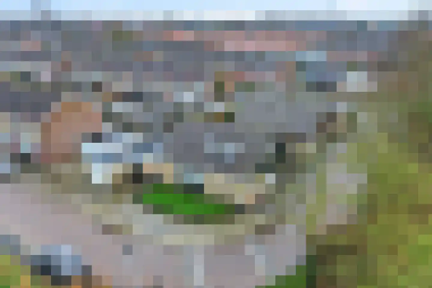 Irisstraat 1 Hippolytushoef thumbnail 36