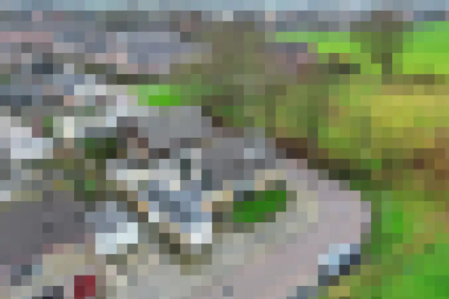 Irisstraat 1 Hippolytushoef thumbnail 37