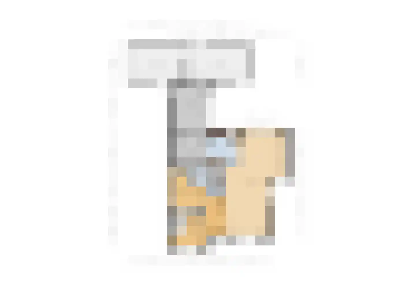 Irisstraat 1 Hippolytushoef thumbnail 39