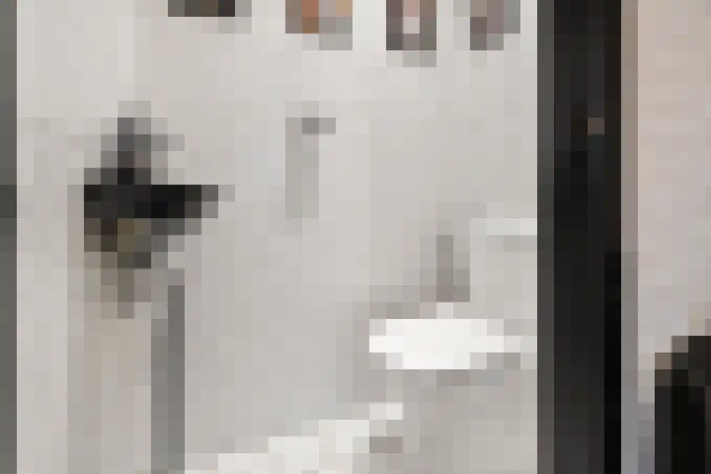 Irisstraat 1 Hippolytushoef thumbnail 7