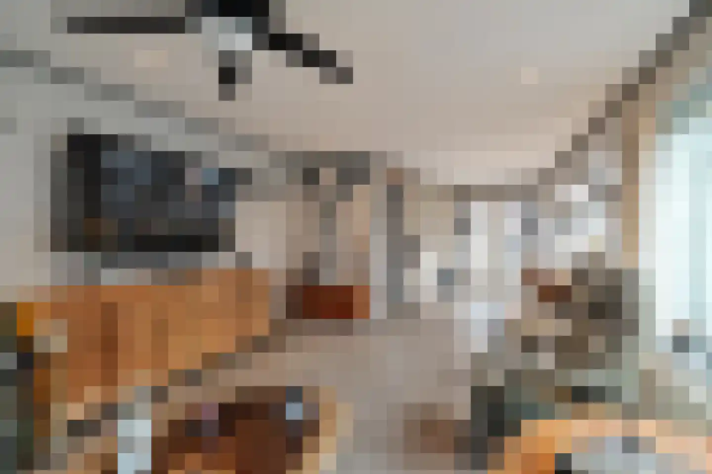 Irisstraat 1 Hippolytushoef thumbnail 8