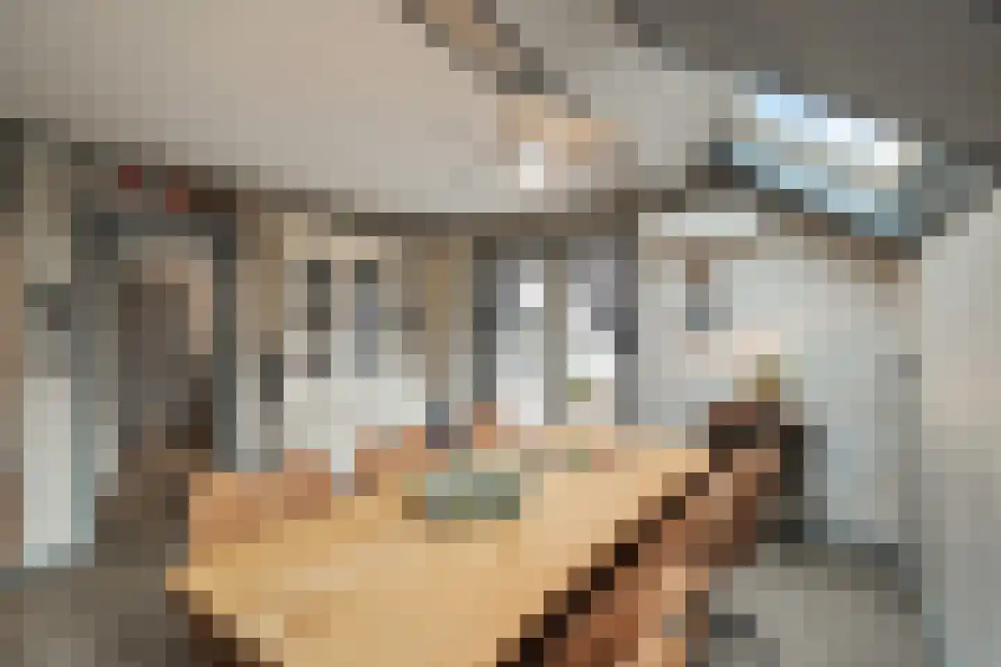 Irisstraat 1 Hippolytushoef thumbnail 9