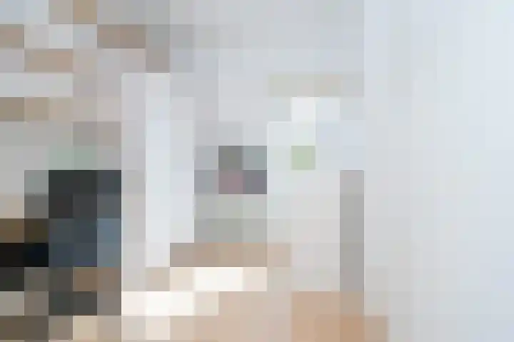 Irisstraat 10 Zwolle thumbnail 30