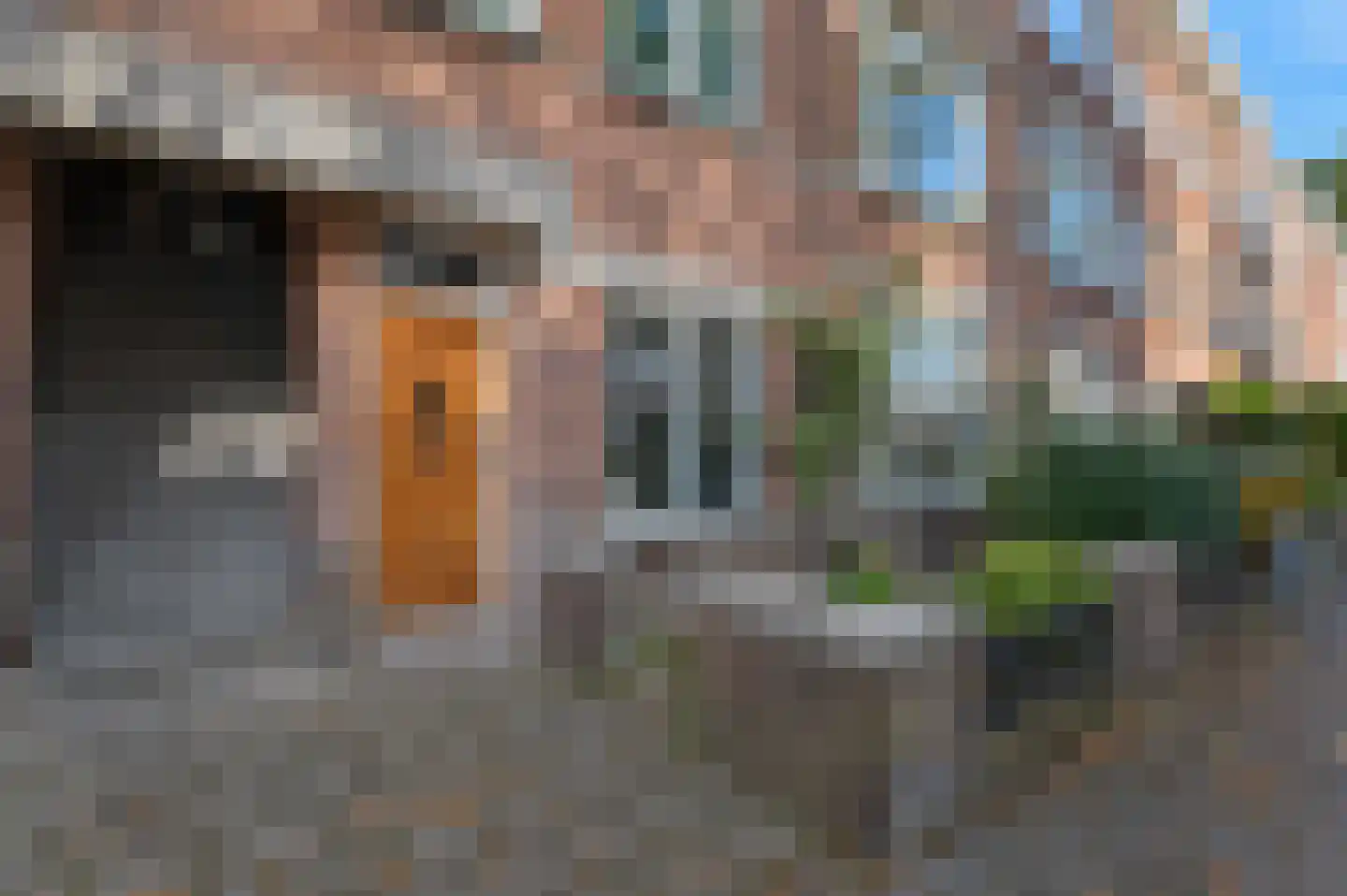 Irisstraat 103 Den Haag thumbnail 9