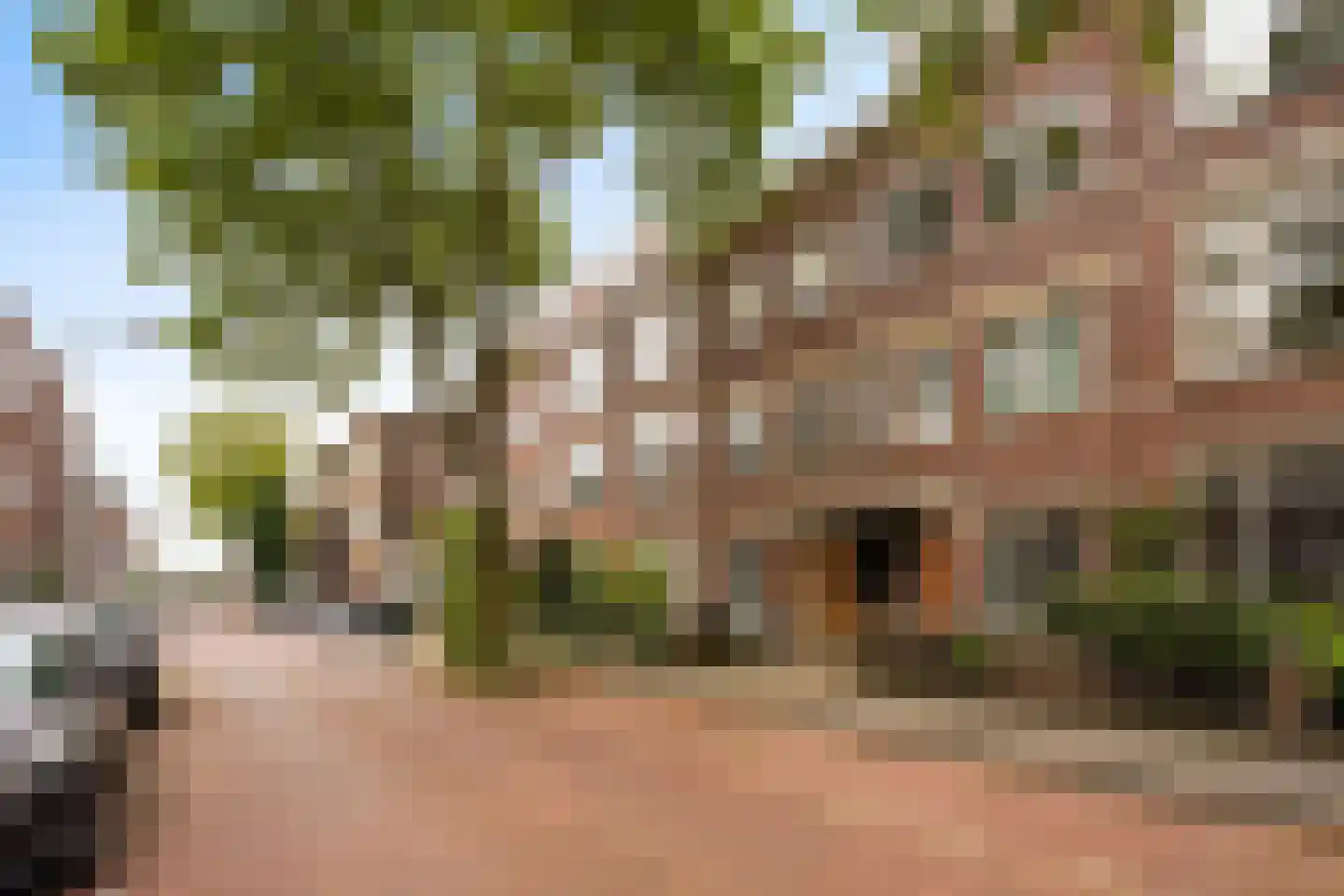 Irisstraat 109 Den Haag thumbnail 4