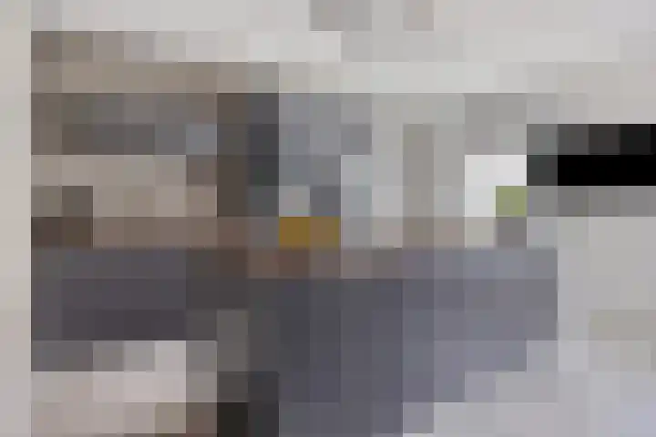 Irisstraat 109 Losser thumbnail 17