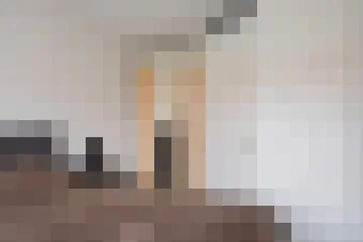 Irisstraat 109 Losser thumbnail 27