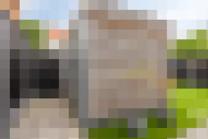 Irisstraat 109 Losser thumbnail 39