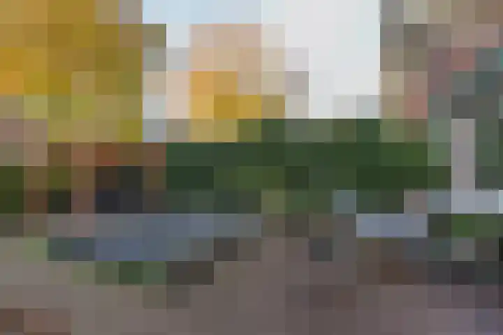 Irisstraat 11 Bussum thumbnail 49