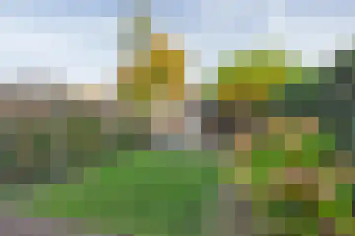 Irisstraat 11 Bussum thumbnail 51