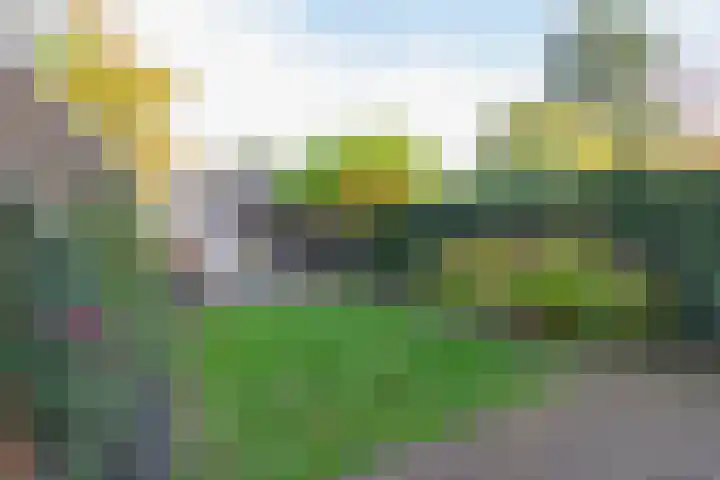 Irisstraat 11 Bussum thumbnail 52