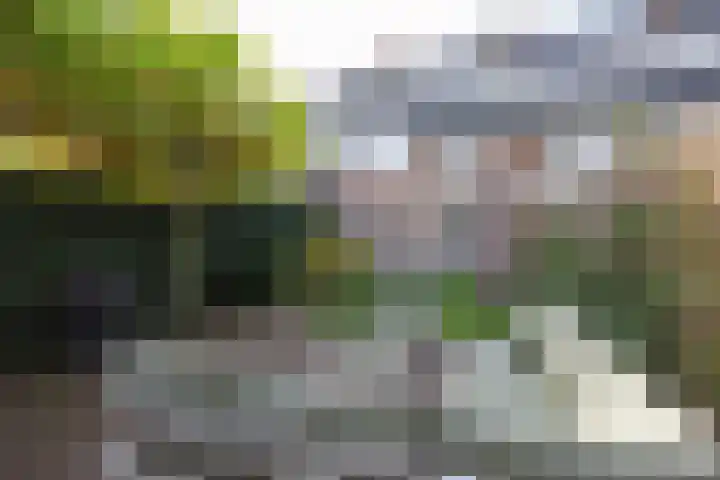 Irisstraat 11 Bussum thumbnail 54