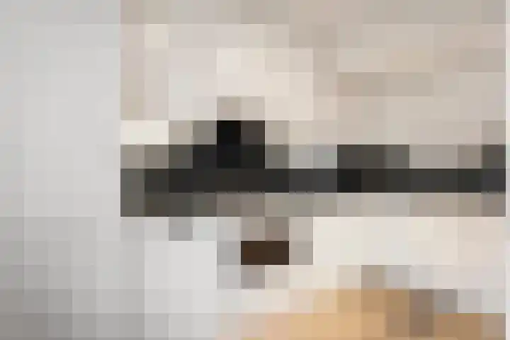 Irisstraat 11 Wierden thumbnail 10
