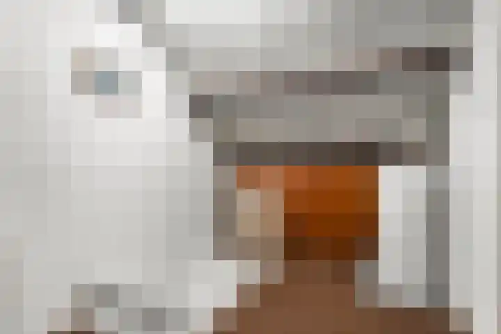 Irisstraat 11 Wierden thumbnail 22