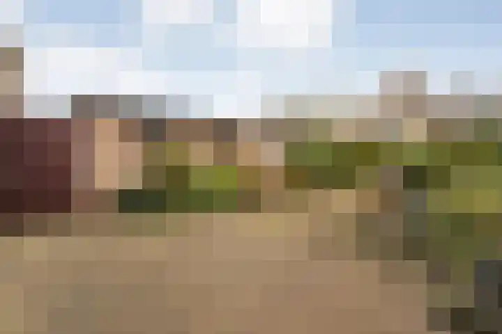 Irisstraat 11 Wierden thumbnail 26